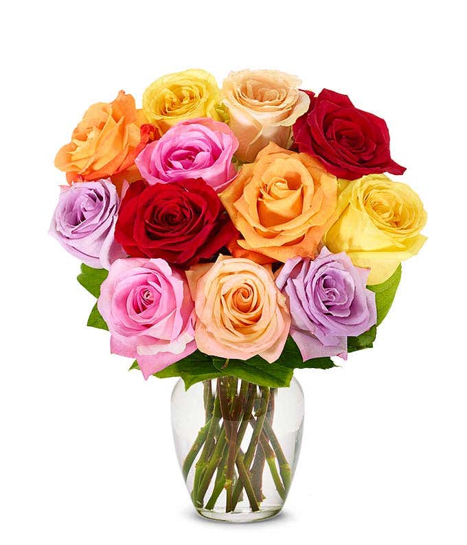 Long Stem Colorful One Dozen Roses