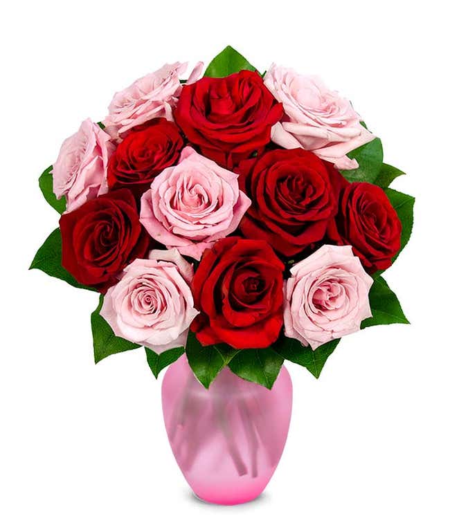 One Dozen Red and Pink Valentine's Day Roses