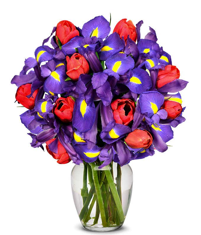 Dazzling Tulip & Iris Bouquet