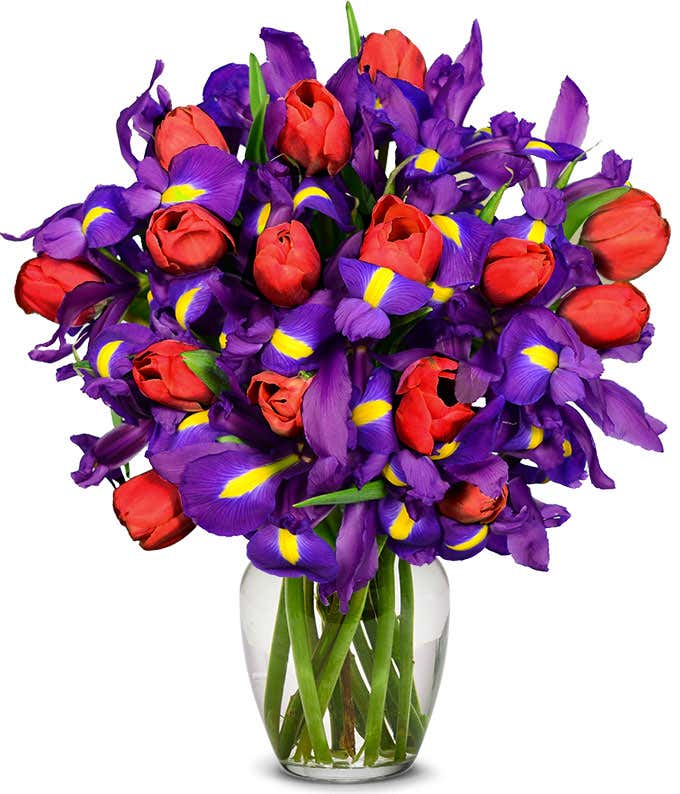 Dazzling Tulip & Iris Bouquet - Deluxe