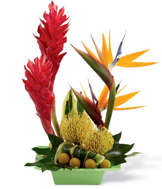 Tropical Sublime Arrangement