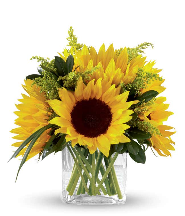Sunflowers with yellow filler and mixed greens in a short cube vase