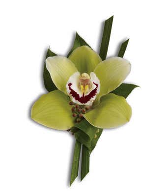 Green Orchid Boutonniere