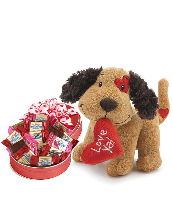 A puppy plush holding a heart in its mouth that says "Love ya!" next to a gift tin of assorted Ghirardelli Chocolate Squares