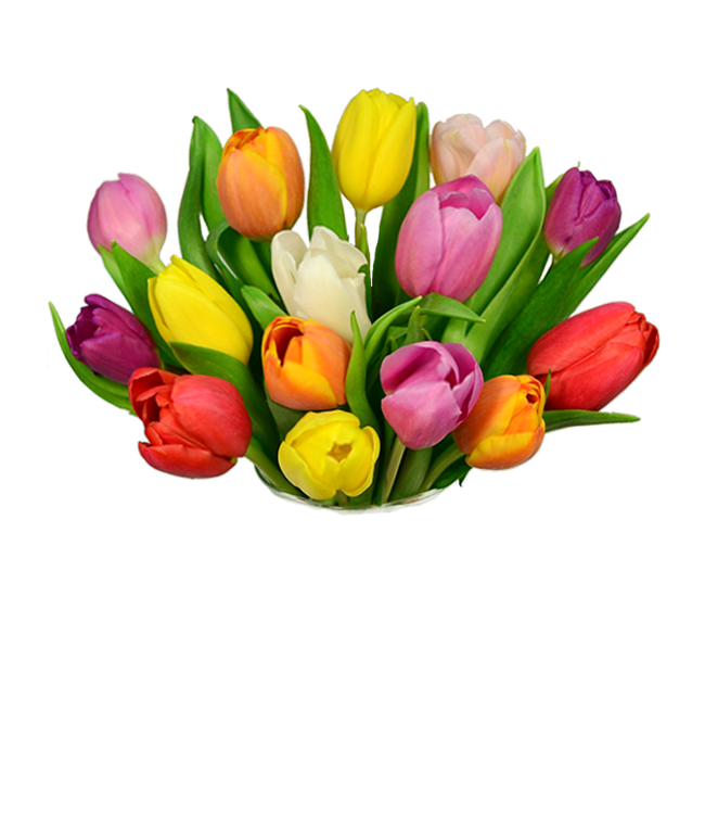 Partial image of Mother's Day Tulips without vase