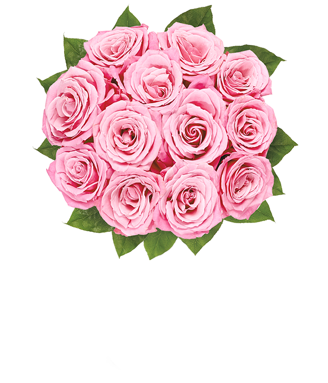 Partial image of Mother's Day pink roses without vase