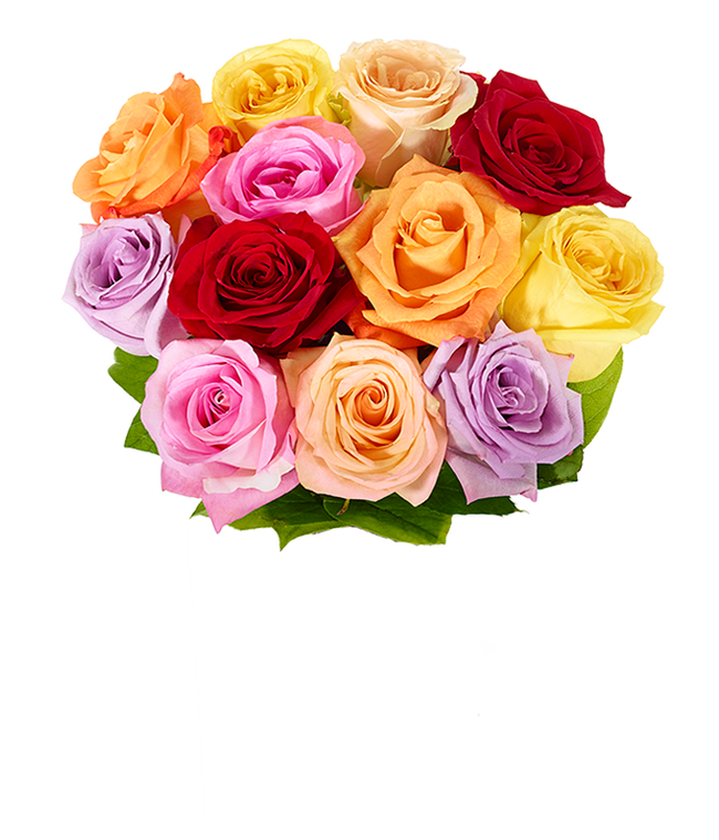 Partial image of One dozen mixed Mother's Day roses for delivery without vase