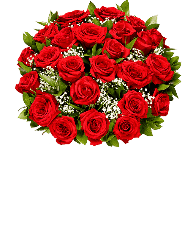 Partial image of Two dozen red roses for next day delivery without vase
