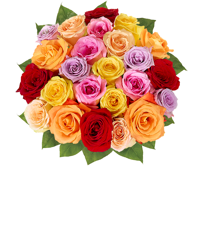 Partial image of Two dozen rainbow roses for Mother's Day rose delivery without vase