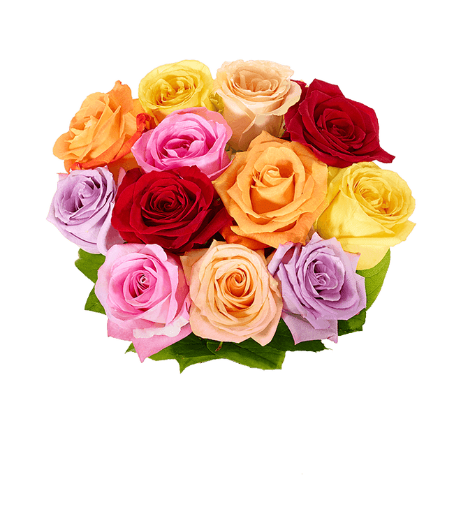 Partial image of One Dozen Rainbow Roses without vase