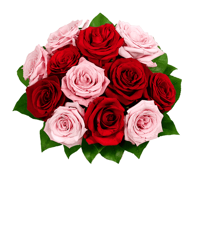 Partial image of Bouquet of half red roses and half pink roses without vase