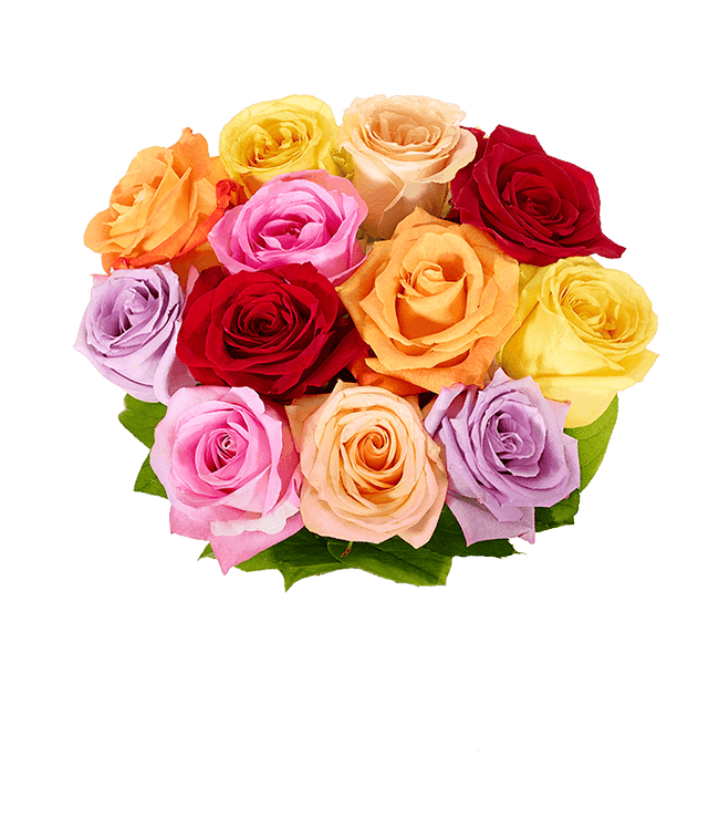 Partial image of Long Stem Colorful One Dozen Roses without vase